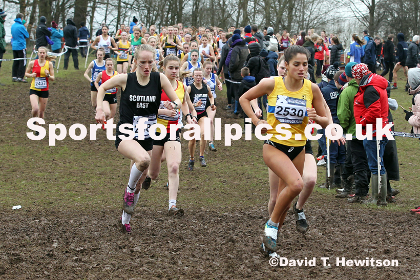 Womens under-20s, 2020 British Athletics Inter Counties Cross Country Champs., Prestwold Hall, Loughborough. Photo: David T. Hewitson/Sports for All Pics